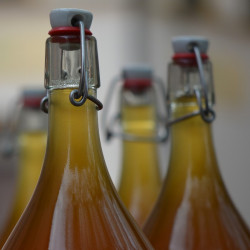 AUSVERKAUFT Biertour | Samstag, 01.08.2026 - 17 Uhr